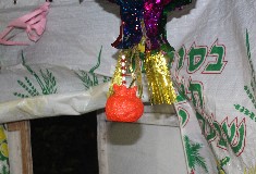 קישוטי סוכה